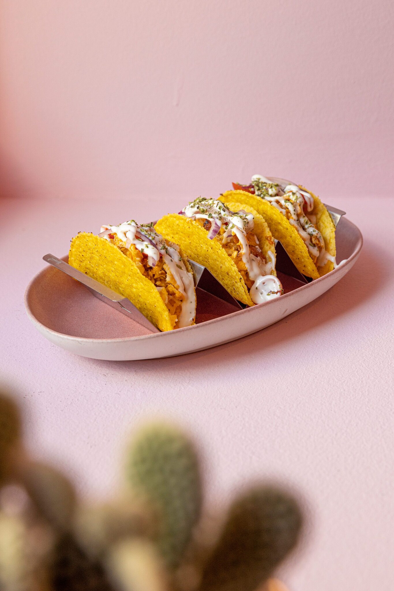 fotografia de gastronomia