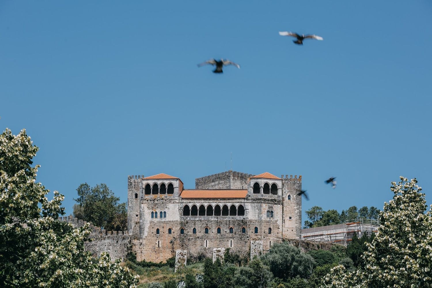 turismo e hospitalidade