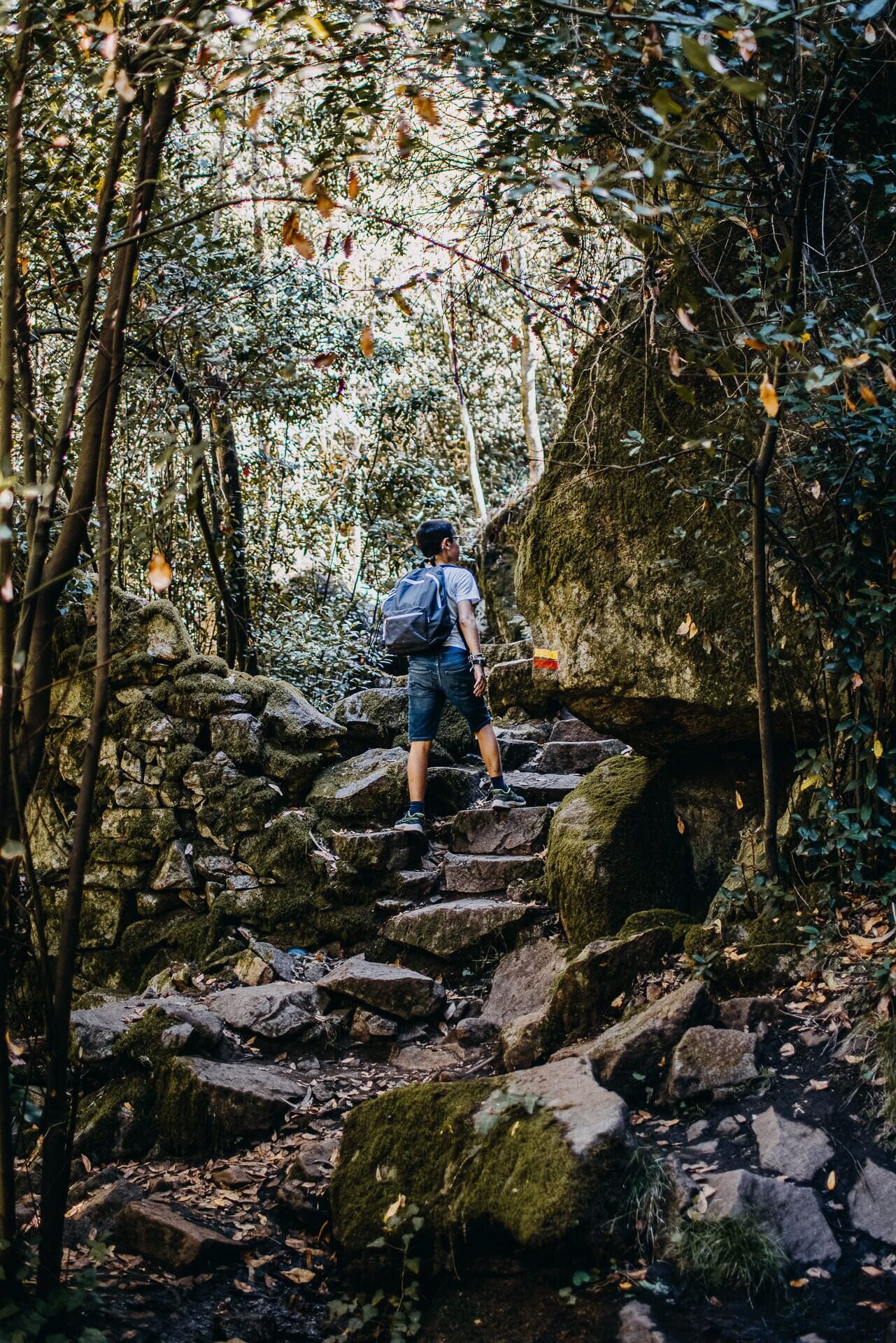 turismo e hospitalidade